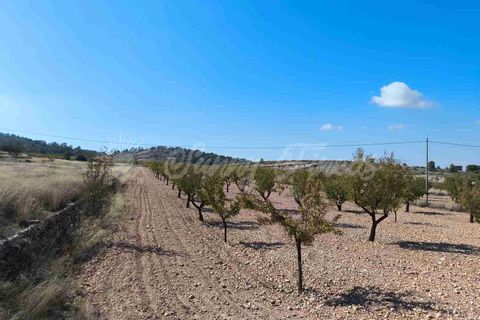 Helårsgrund i Jumilla, Murcia, Jumilla - € 29.900 | Ref: SF0544 - foto 8